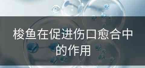 梭鱼在促进伤口愈合中的作用